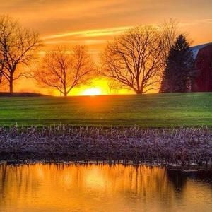 Meet your Posher, Jayne